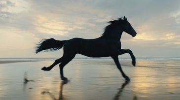 Lloyds, Natwest and Barclays create a banking hub