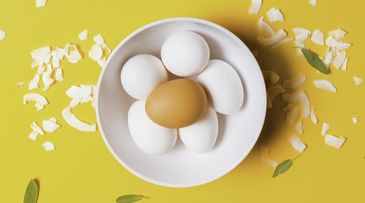 Thought-starter: What’s next for plant protein? 