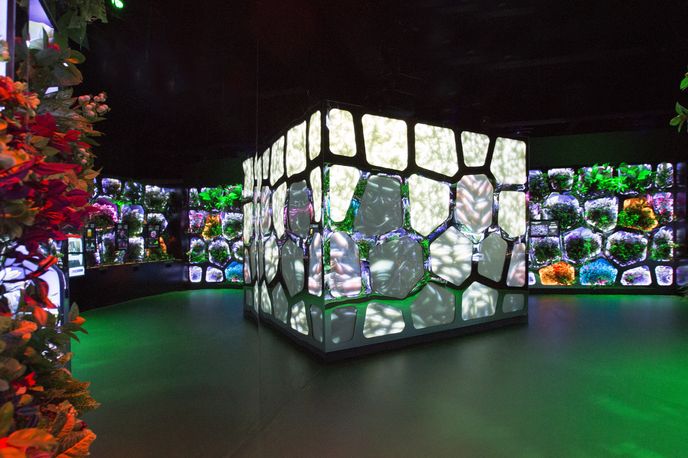 Tellart, Reimagining Climate Change at the Museum of the Future, Dubai