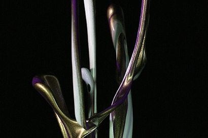The Sound of Ikebana by Naoko Tosa 