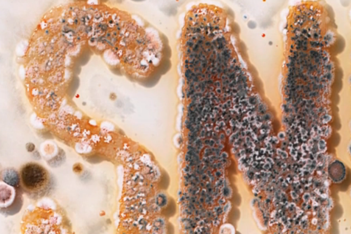 Lemz Agency and Netherlands Nutrition Centre, Food Poisoning Campaign