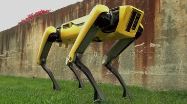 Robot dogs join New York police