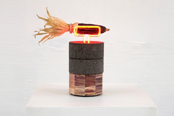 Totomoxtle by Fernando Laposse, Mexico