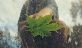 Natuurhuisje frames nature as the protagonist in new brand campaign