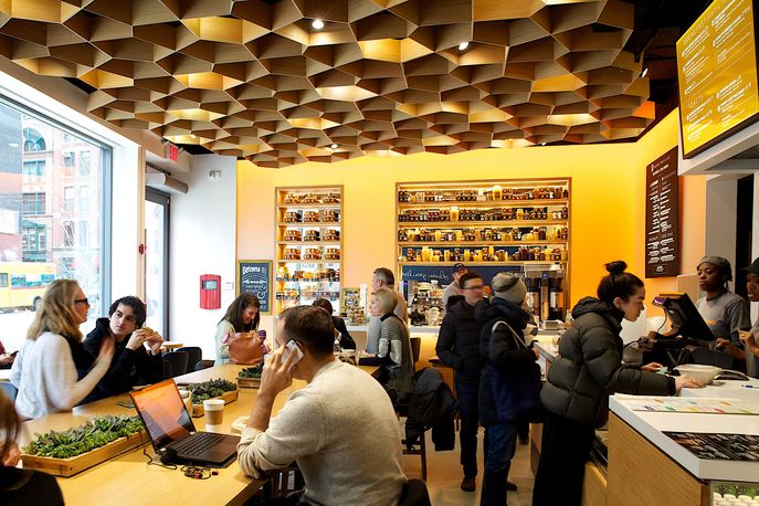 Honeybrains, New York. Photography by Francesco Mastalia