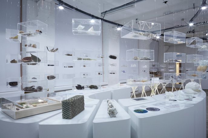 Designing with Nature exhibition, courtesy of Daniel Hewitt