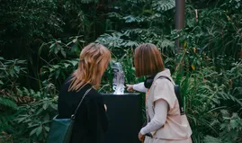 OpenArea reframes nature as cultural canvas with new London festival