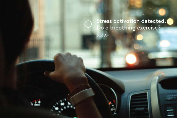Olive stress tracker