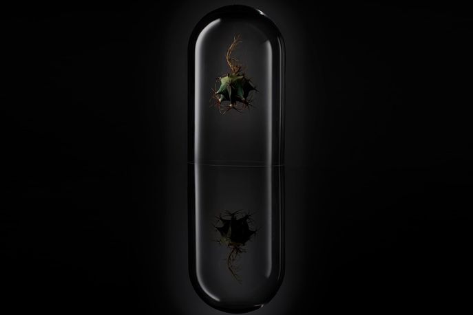 Mowart and Winter at Plants out of Place exhibition at London Design Festival 2015