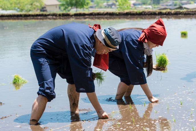 The Salon Rice Project by Salon adam et ropé, Japan