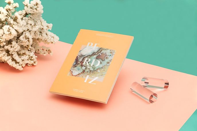 Perdiz magazine