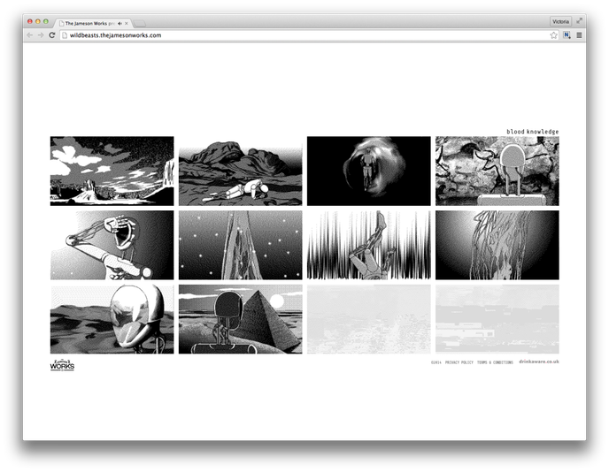 Wild Beasts x Mattis Dovier for Jameson Works