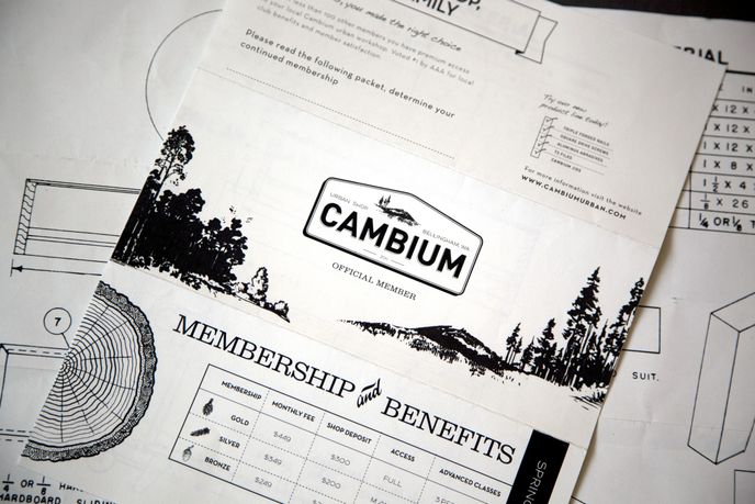Cambium, by Stren Pipkin, San Franc