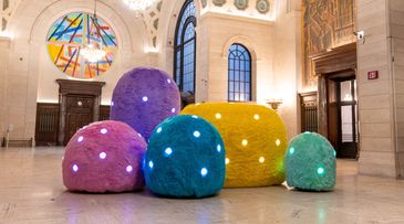 Friendswithyou, fuzzy AI robots exhibition opens at Cleveland Public Library 