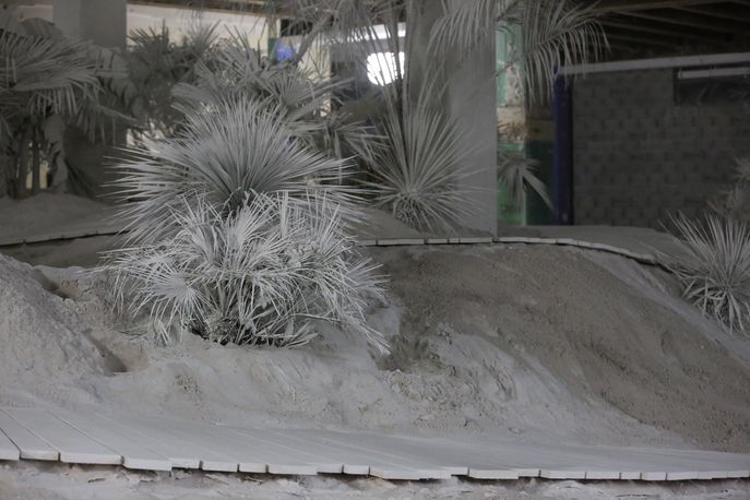 By Nature by Vincent Lamouroux at Martell Foundation, Cognac