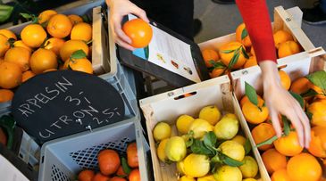 Sainsbury’s elevates Black-owned businesses