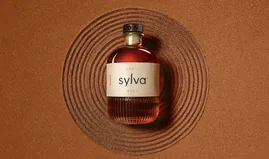 The Viewpoint: Inventing the Aged Spirits of Tomorrow 