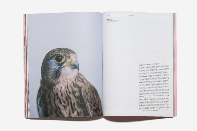Mondial magazine from Rapha, UK