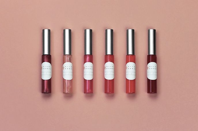 Silk and Honey lipgloss kit