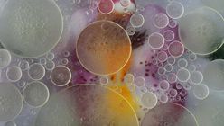 Future Forecast 2026: Beauty