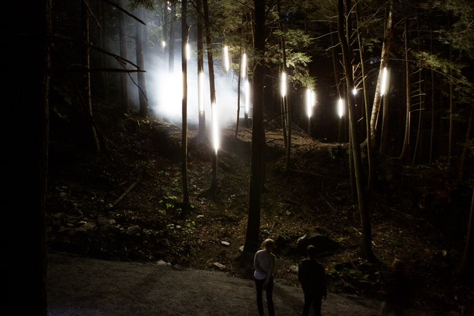 Forest Lumina by Moment Factory, Quebec