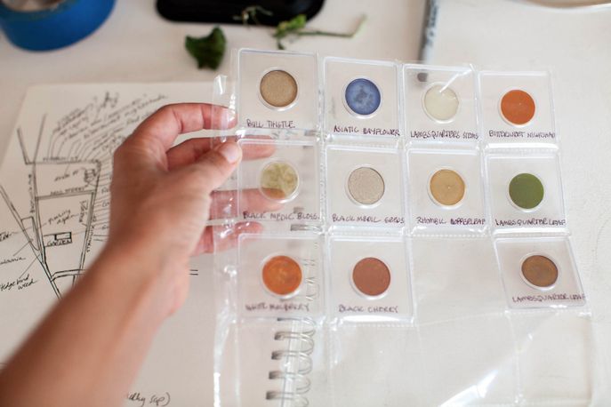 Invasive Pigments by Ellie Irons