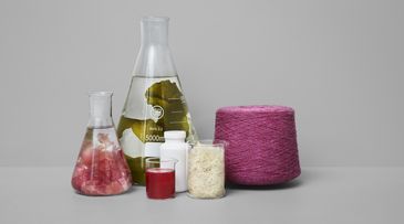 Spanish mother-daughter duo uses bacteria to restore artworks