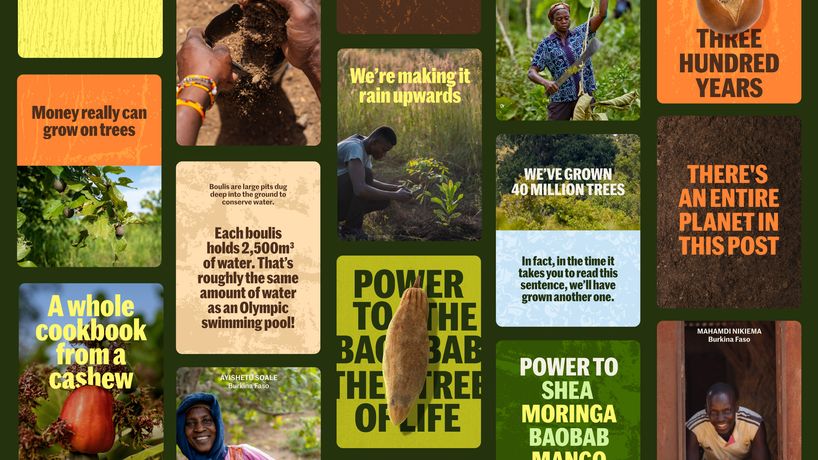 Tree Aid's Resilient by Nature campaign, Africa