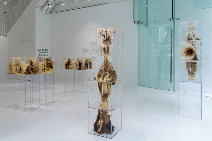 Yuansu Project by Ren Ri at Pearl Lam Gallery, Hong Kong