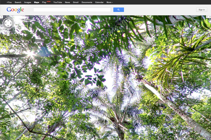 Google Amazon View