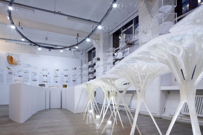 Designing with Nature exhibition, courtesy of Daniel Hewitt