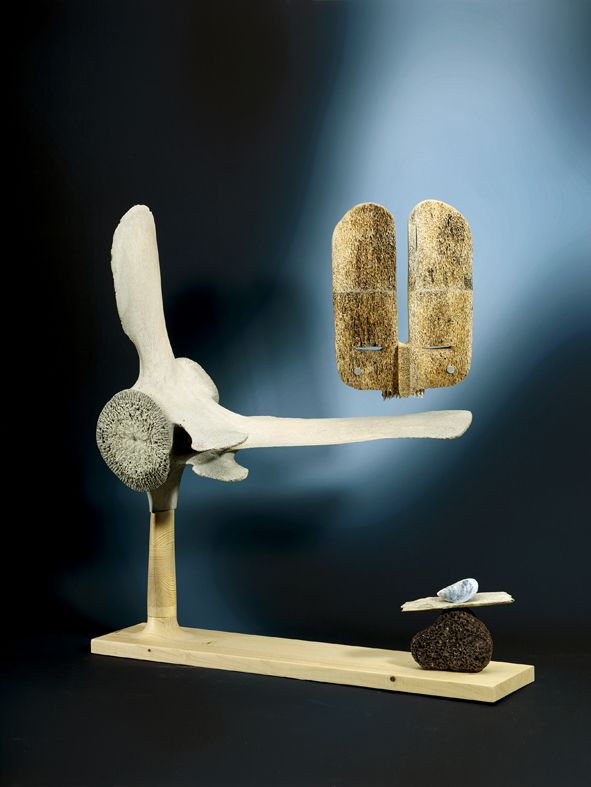 The Iceland Whalebone project, ECAL, photography by Emile Barret