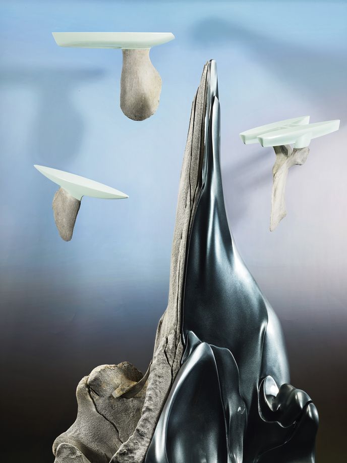 The Iceland Whalebone project, ECAL, photography by Emile Barret