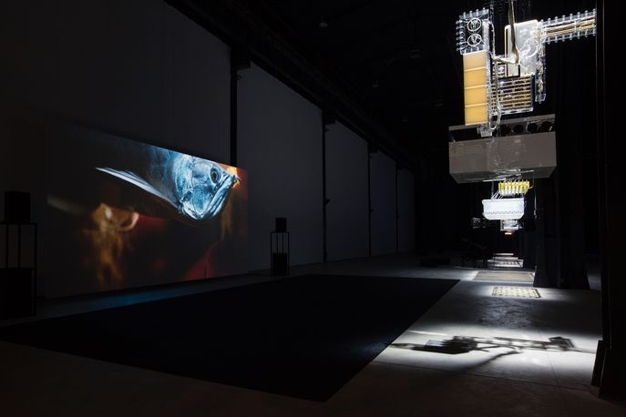 'Hypothesis’ by Philippe Parreno, HangarBicocca, Milan, photography by Andrea Rossetti