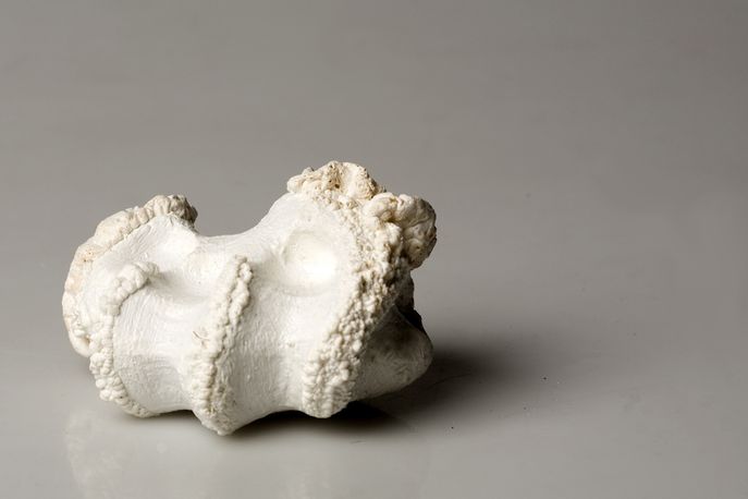 Daily Haptics by Marie Rouillon