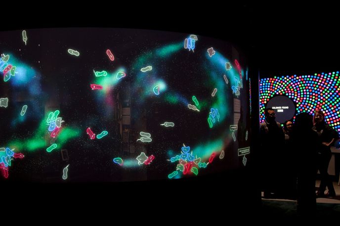 The BioDesign Studio by Local Projects and The Extrapolation Factory at the Tech Museum of Innovation, San Jose