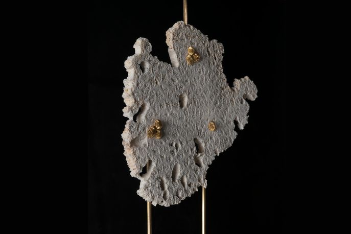  Coral Sun by Zuleika Penniman at Dubai Design Week, Dubai 