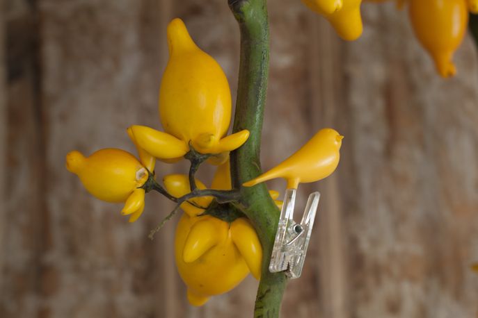 Wuhao Teahouse, Beijing