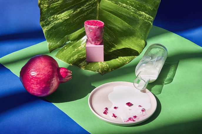 Nourish Baby, New York