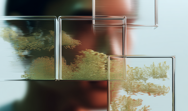 Sustainability is Dead