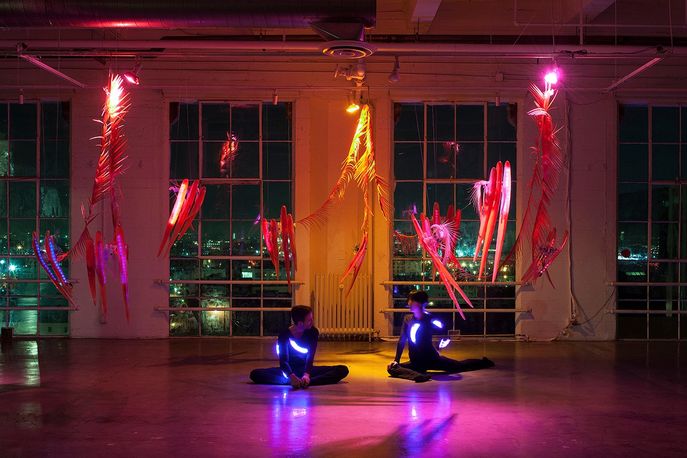 Liminoid Garden by artist Filipa Valente