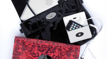 Teacher's pet: Apple and Mulberry collaborate on new line