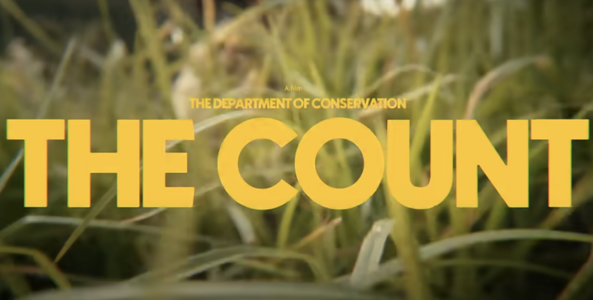 New Zealand counts 695bn citizens to rally nature protection