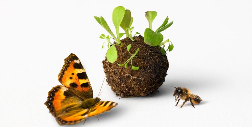 Ikea’s heritage meatball gets an eco-update