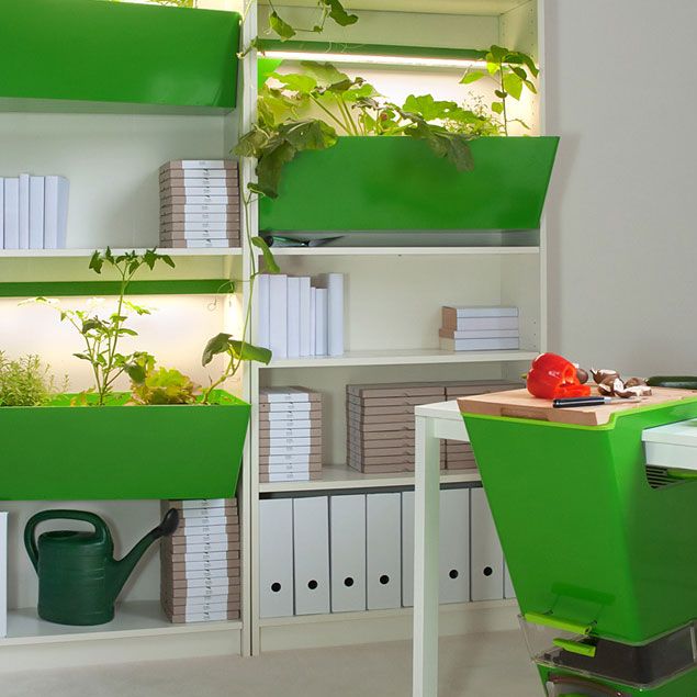 Parasite Farm by Charlotte Dieckmann and Nis Ferber