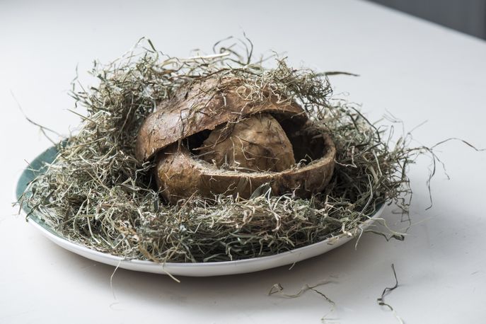 The Catastrophic Meal, Aarhus