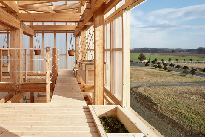 Nest We Grow by UC Berkeley graduates and Kengo Kuma & Associates, Japan. Photography by Shinkenchiku-sha