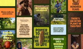 How forpeople used bio-electrical tree data to shape Tree Aid’s rebranding