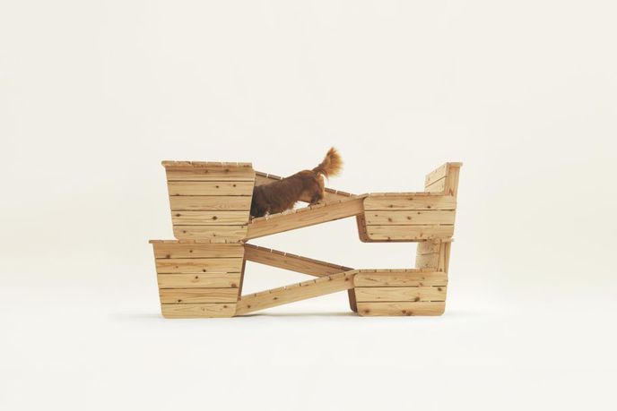 Architecture for Dogs