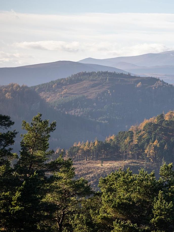 Bertie’s Whisky Bar at The Fife Arms, Braemar, Scotland